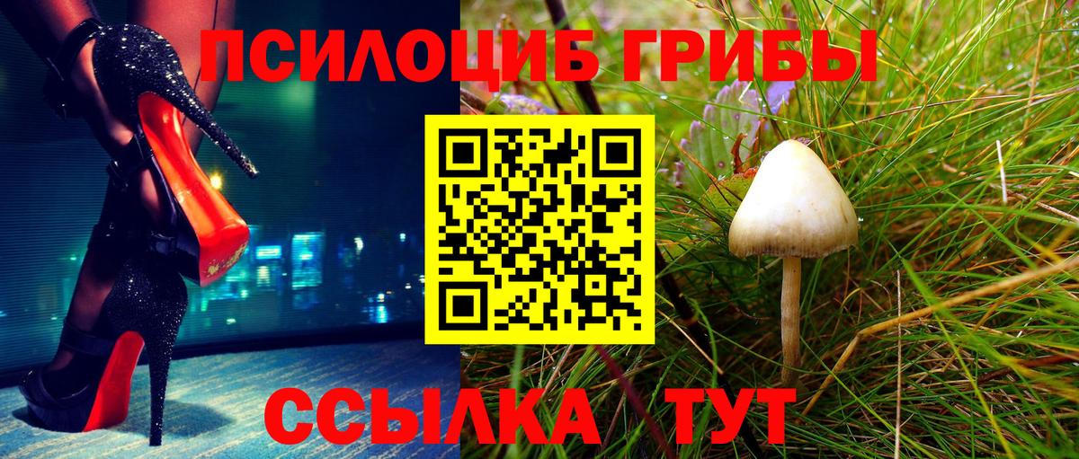 Псилоцибиновые грибы Psilocybe  Вход с VPN  Псилоцибиновые грибы прущие грибы  Ишимбай 