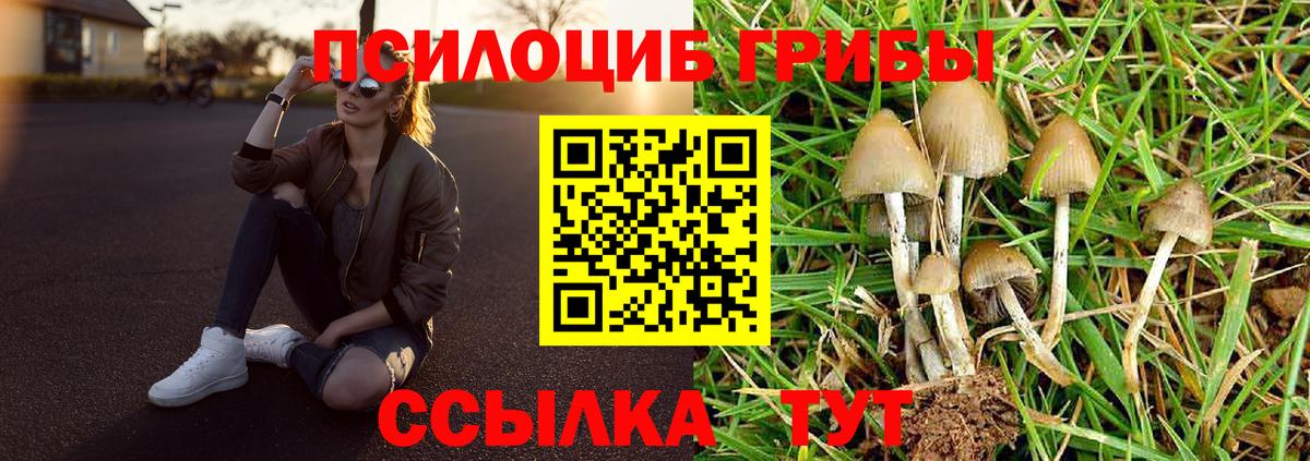 Галлюциногенные грибы GOLDEN TEACHER Ишимбай